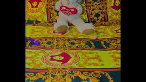 Sundaydogood614 – update #816 – VID 20250307 135424 – Mar 07, 2025