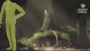 Vídeo de verificação