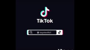 Vídeo de verificação