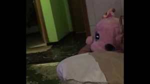 Vídeo de verificação