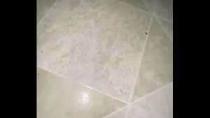 Vídeo de verificación