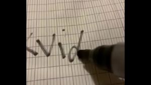 Video de vérification