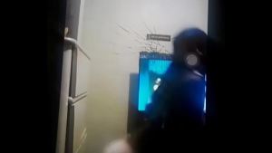 Xvideos