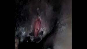 Xvideos