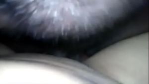 Xvideos