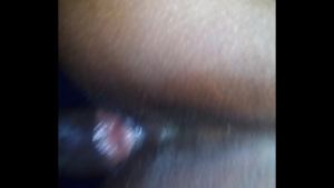 Xvideos