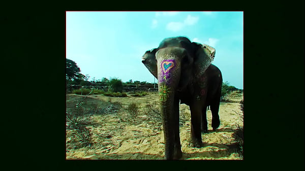 S3XUS – CHUDAI – NSFW TRAILER 7