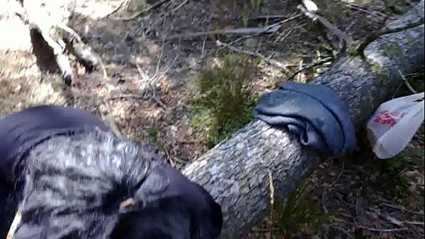 Serving it’s correct purpose in life and so much happier that it has found true meaning