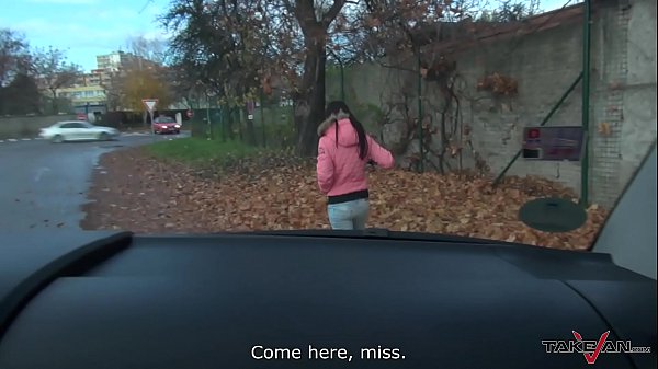 Street pickup and car sex