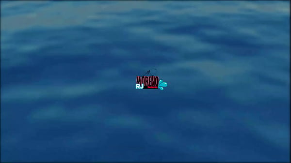 Vídeo de verificação