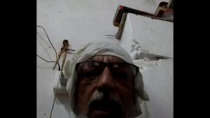 Verification video