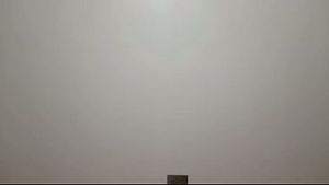 Vídeo de verificación