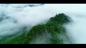 Video xác minh