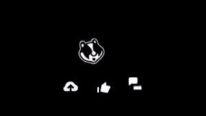 Xvideo