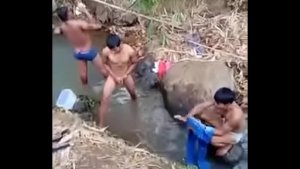 Xvideos