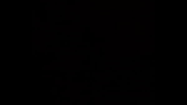 Xvideos