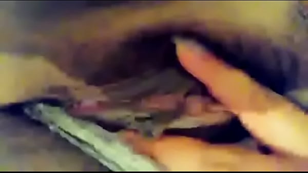 Xvideos