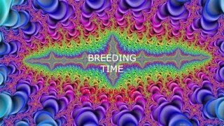 DIRTY BREEDING WHORE GETS IMPREGENATED AND CREAMPIED DEEP / DADDY DOM EROTICA
