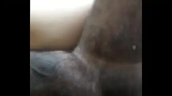 Xvideos