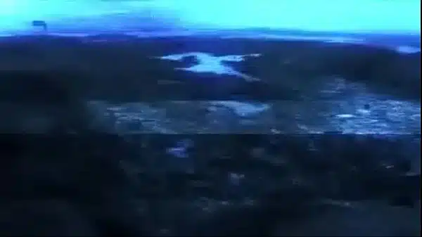Xvideos